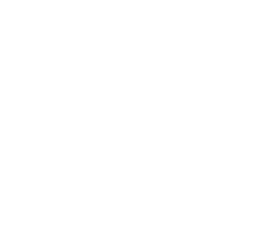 SAS Nanotechnologies